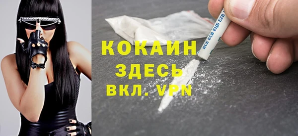 мяу мяу мука Аркадак