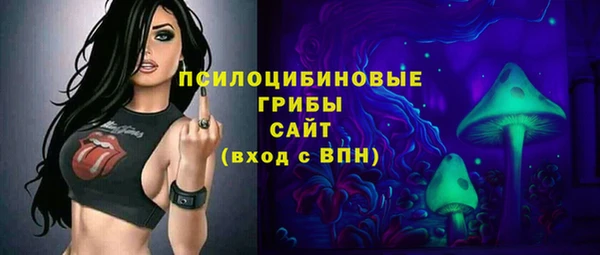 мяу мяу мука Аркадак