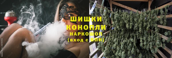 тгк Арсеньев